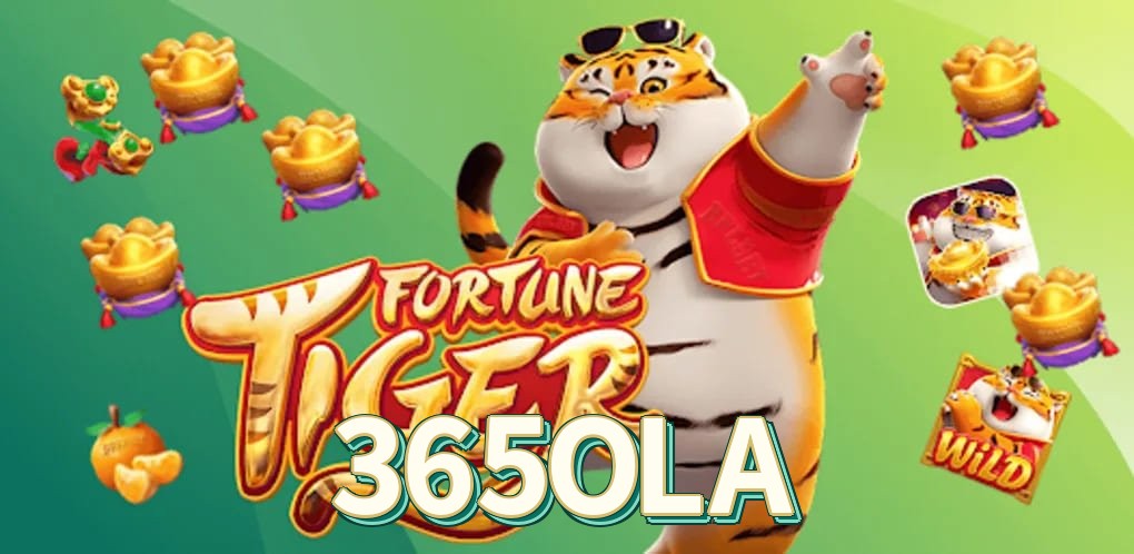 Requisitos do APK da 365OLA para Android