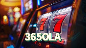 365OLA cassino