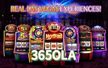 FAQ 365OLA Brasil