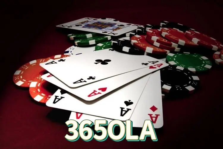 APK Android 365OLA