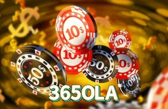 365OLA FAQ — suporte e ajuda no aplicativo oficial